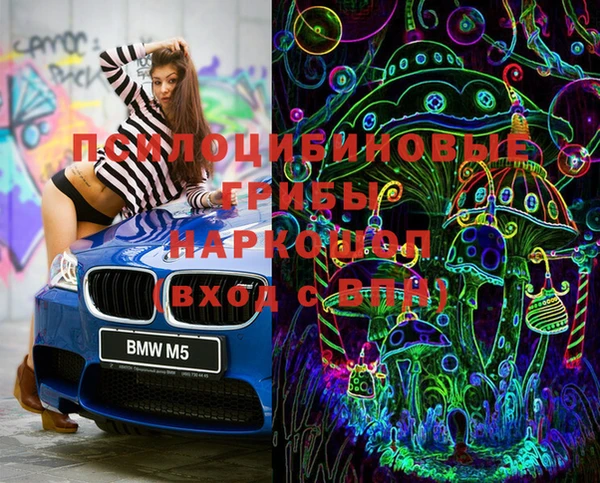 индика Алексин