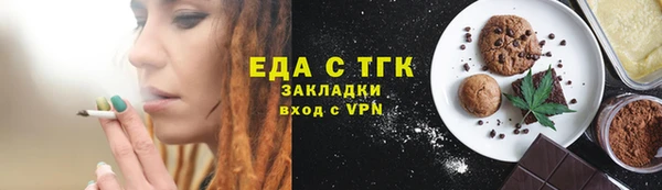 индика Алексин