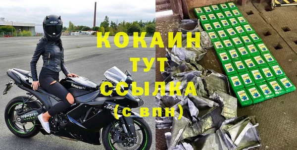 индика Алексин