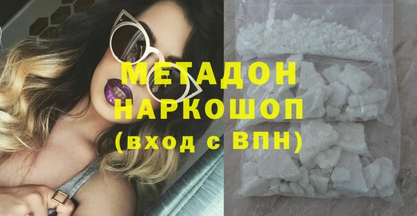 индика Алексин