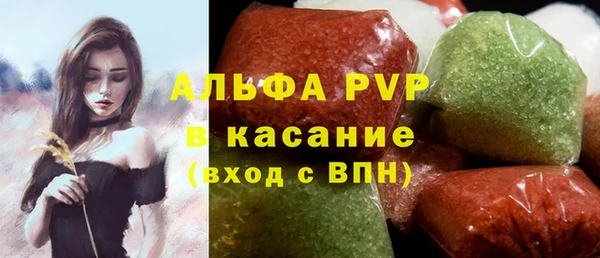 индика Алексин